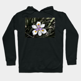 White Lily Hoodie